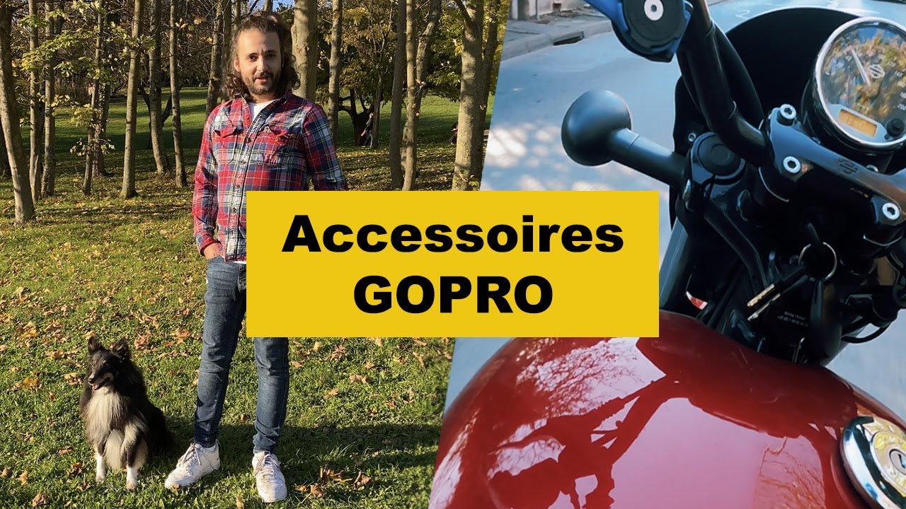 🏍 🐶 Test des accessoires GOPRO FETCH (harnais pour chien) + CHESTY (harnais de poitrine moto)