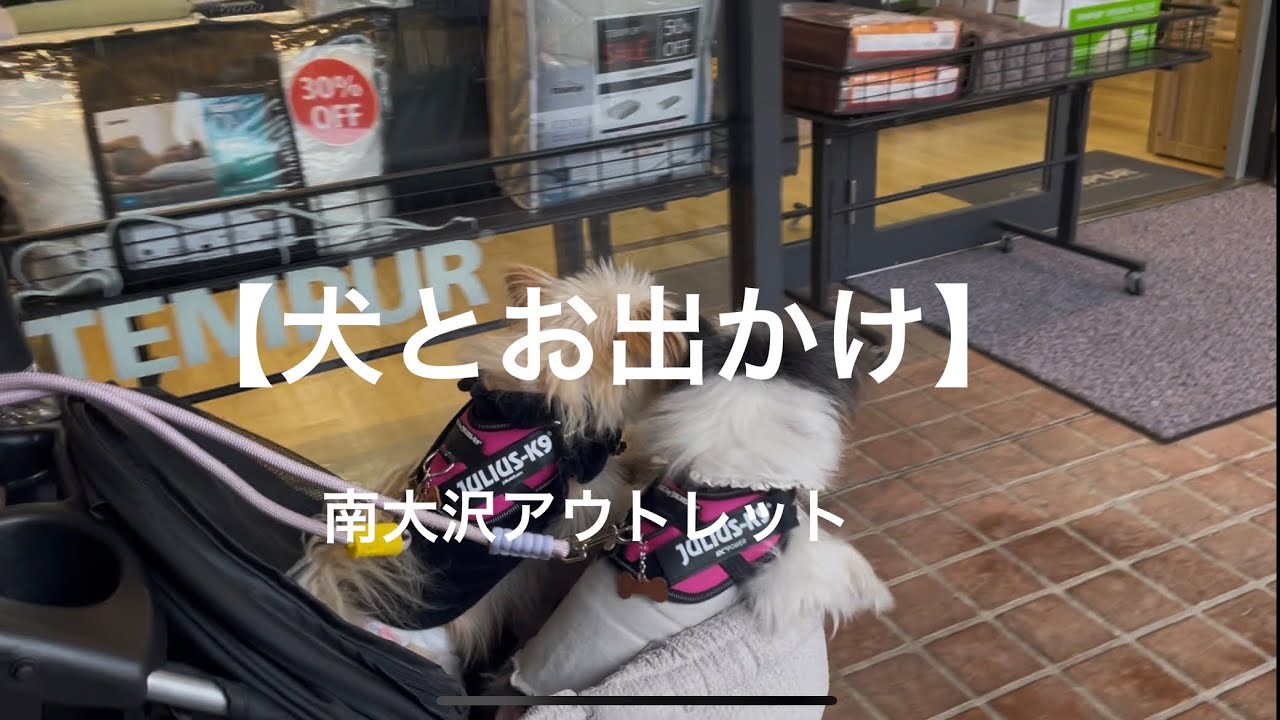 【犬とお出かけ】南大沢アウトレット