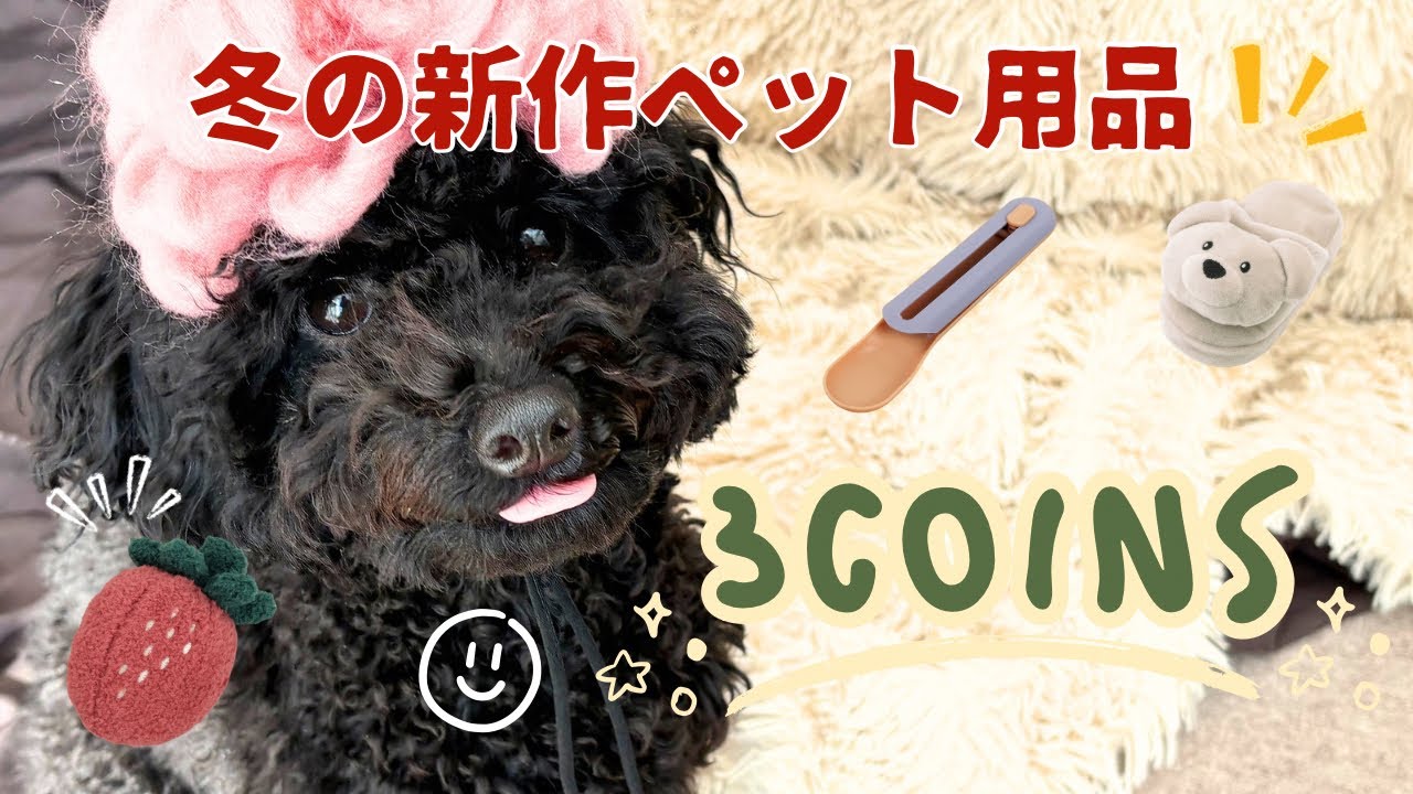 【3COINS】冬の新作ペットグッズ購入品使ってみたレビュー/インテリア収納も