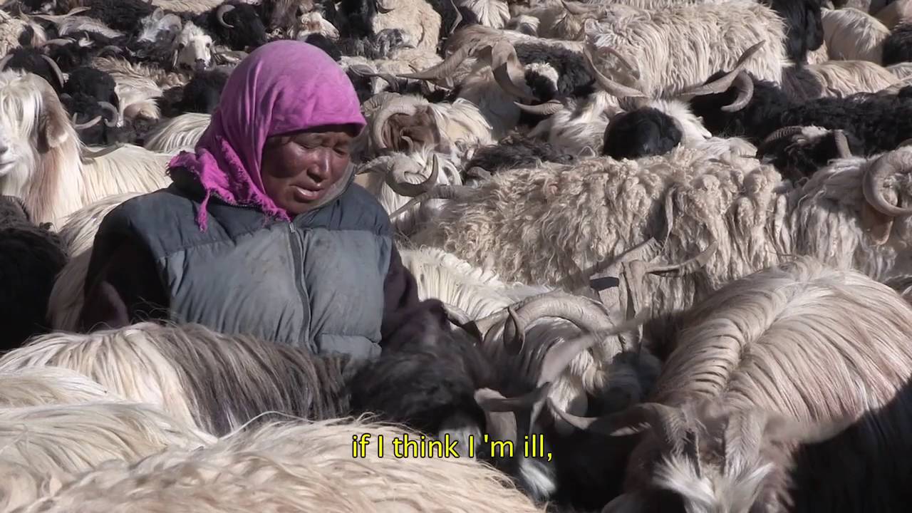 The Shepherdess of the Glaciers - Trailer