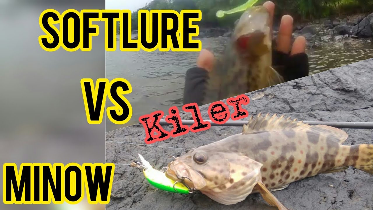 Killer Castingan Pakai Minow Dan Soft Lure Saat Air Laut Bening