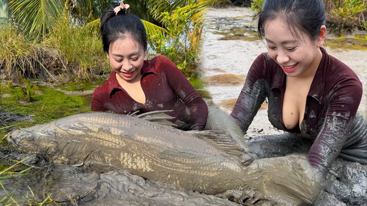 Chạm Trán Cá Chẽm Khủng Khi Về Cà Mau