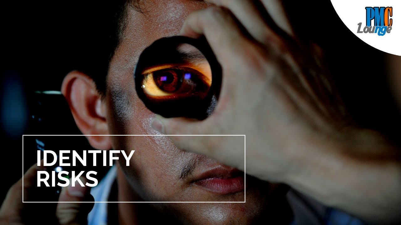 Identify Risks Process