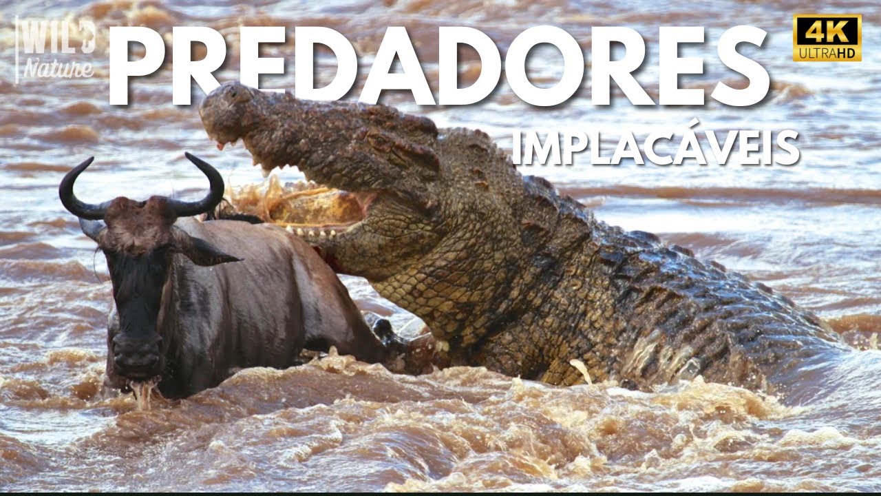 SILÊNCIO MORTAL - O Predador Invisível dos Rios Africanos | Documentário Animal