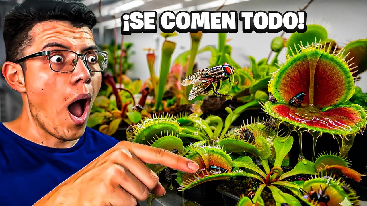 ¡PLANTAS CARNÍVORAS de $25,000 PESOS! 😱 Visité la EXPO más RARA de MÉXICO 🪴🕷️