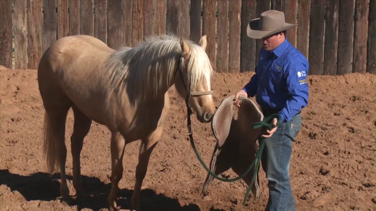 Casey Deary Starting 2 Year Old Colts Part 1
