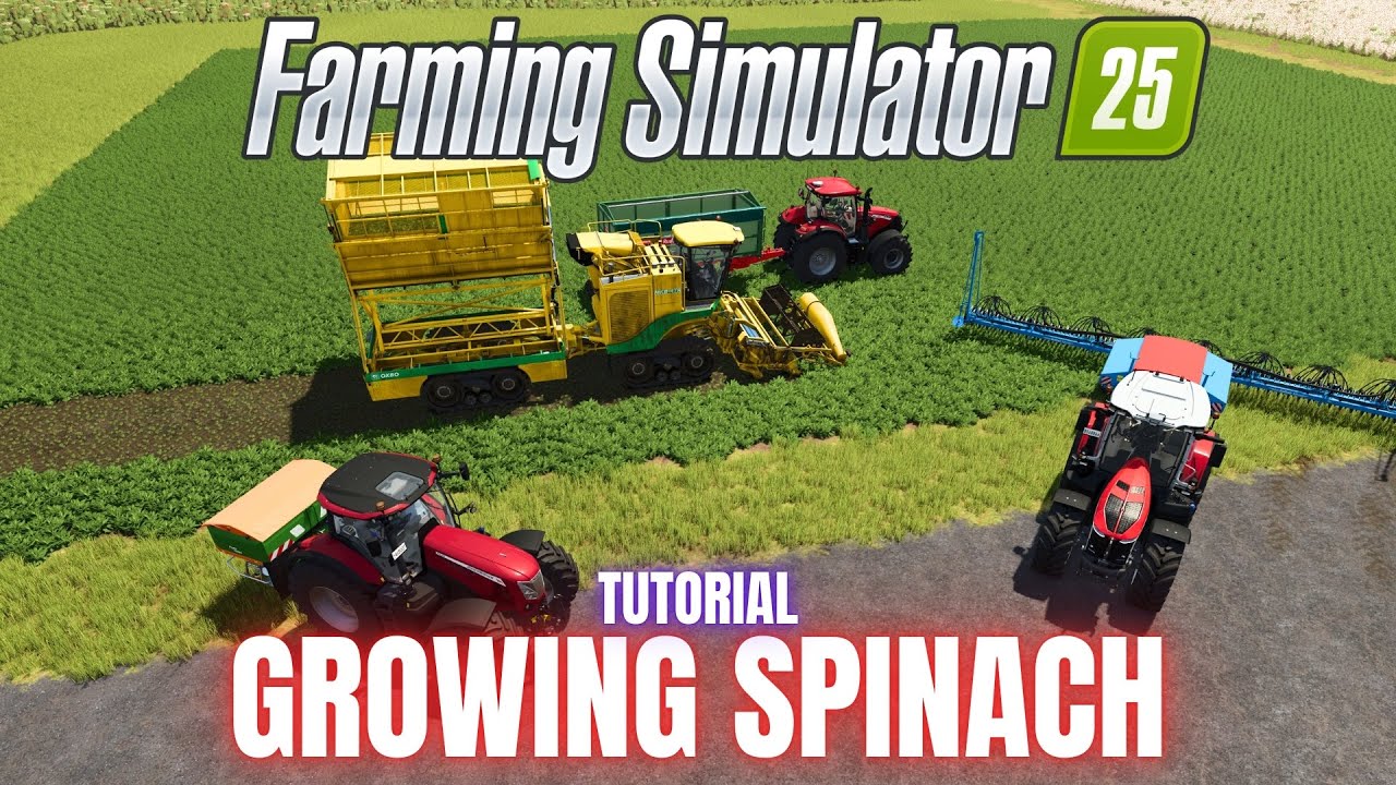 GROWING SPINACH - TUTORIAL - Farming Simulator 25