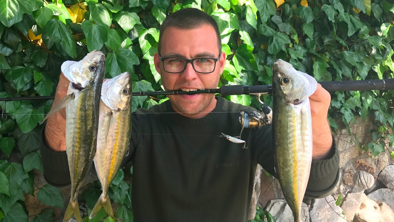 Dev İstavritleri incecik takımla yakaladık! Fo&ccedil;a LRF for Horse Mackeral アジングゲーム