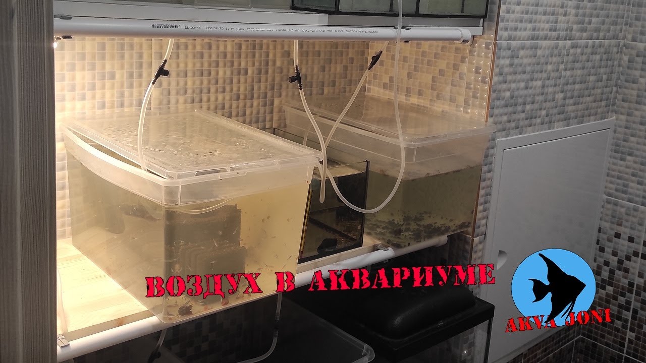 Воздух в аквариуме.