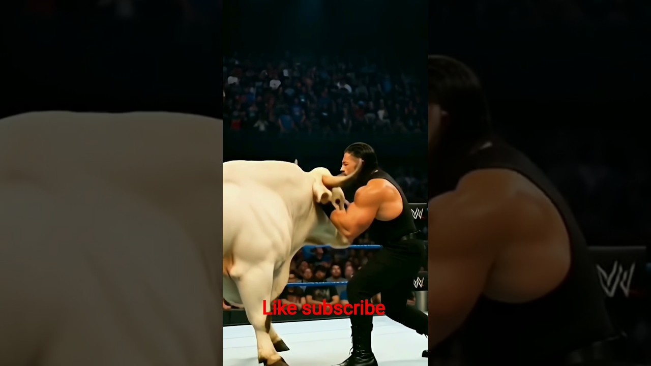 WWE wrestlers ring the big fight Roman reigns #wwe#wrestling#wwewrestlers#wweraw#wwenxt#wwefighters#
