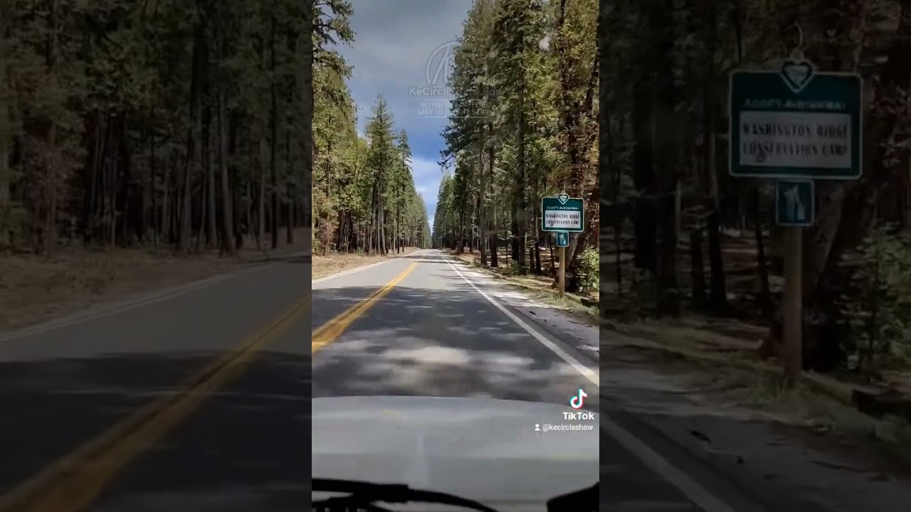tahoe national forest  freaking beautiful 3,800 ft elevation. #rvlife #nomad #blogger #fyp #drive