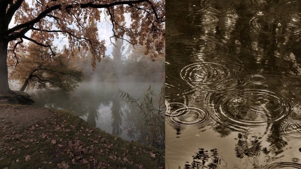 silver springs - fleetwood mac (best part looped)