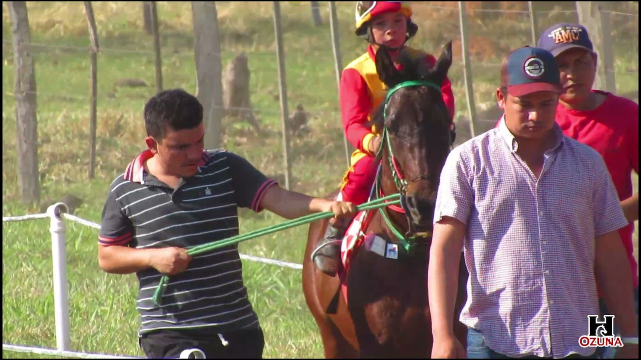 Club hipico de Vanessa - Torneo de Petisos