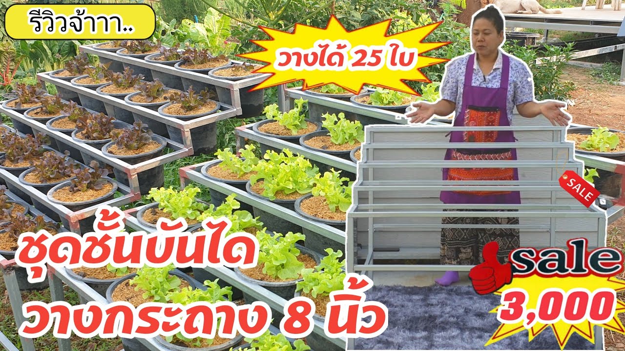 ชุดวางกระถาง8 นิ้ว แบบขั้นบันได #หมูอ้วนชวนทำเกษตร