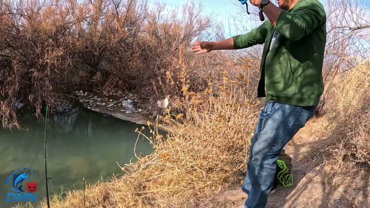 Pesca con caña 🎣