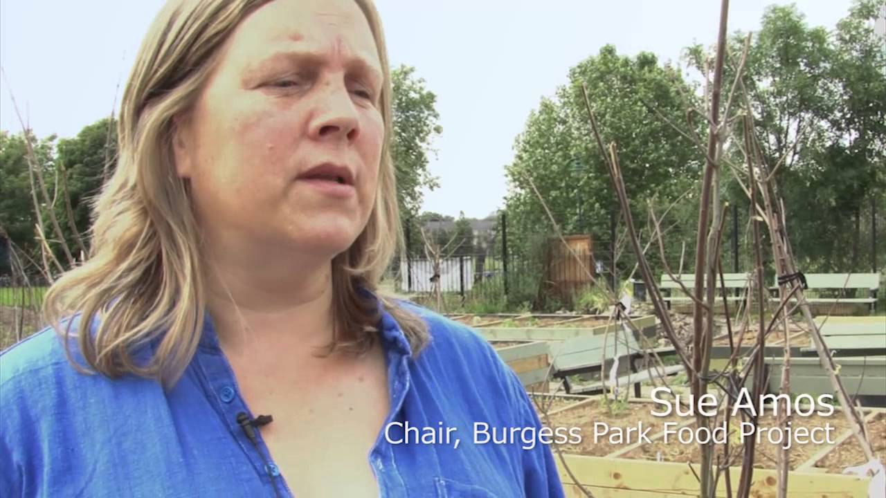 The Burgess Park film 2012