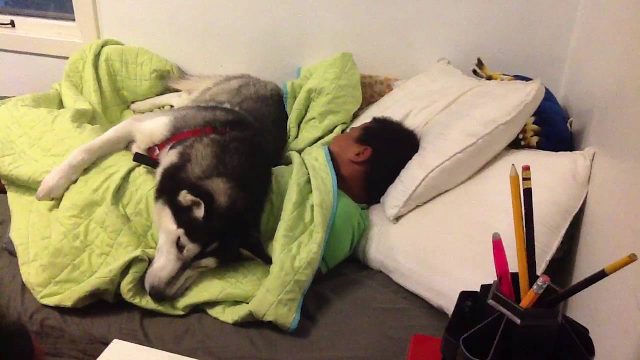 When You're In Denial That You Have to Wake Up