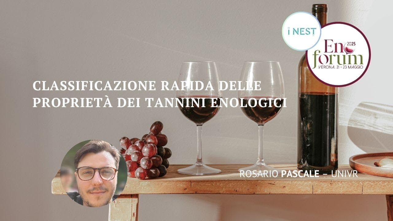 Classificazione rapida delle proprietà dei tannini enologici