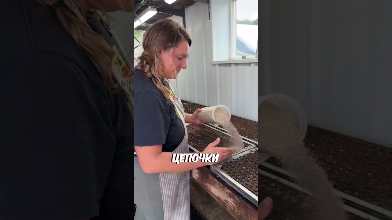 Эта машина сажает растения за секунды 🤯🚜
