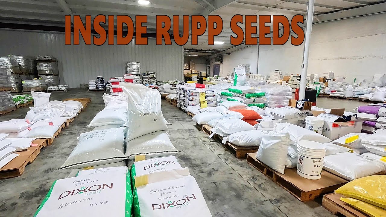 What Really Happens When You Order Seeds