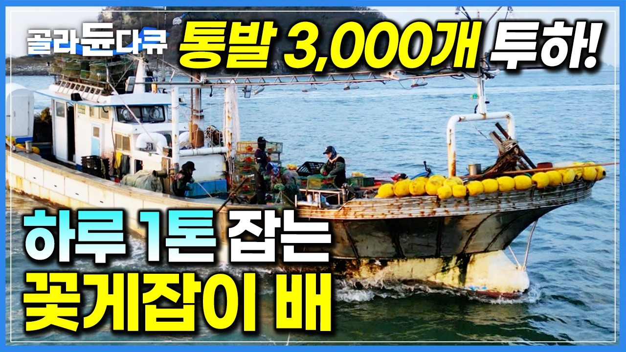 ‘오늘도 어획량 초과 달성’ 통발에 줄줄이 올라오는 꽃게로 어창 가득 채운 배｜궂은 날씨에도 어부들이 조업을 멈출 수 없는 이유｜서해 바다 만선 꽃게잡이｜극한직업｜#골라듄다큐