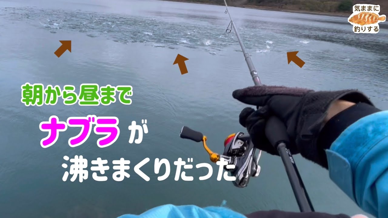 ナブラが沸きまくって面白かった♪【能登釣り】