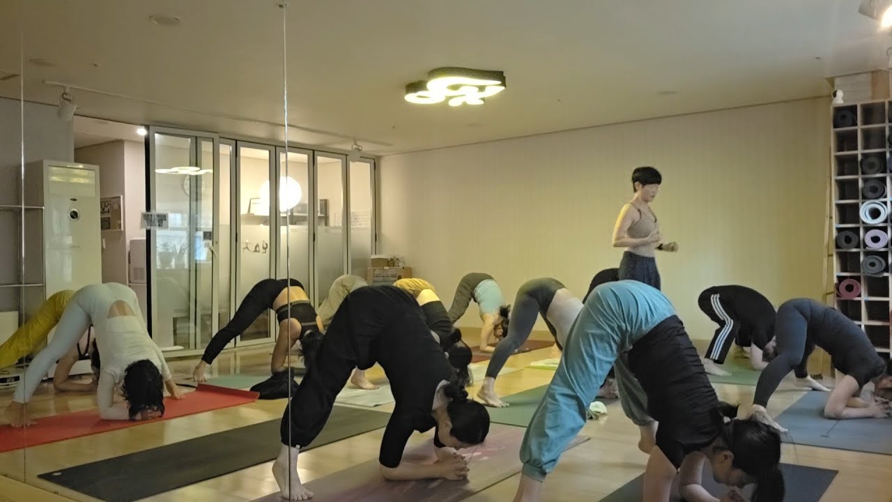 #빈야사시퀀스 26.1.10(토) #핀차마유라사나  #돌핀자세 어깨밀어내는힘 #힙오픈 #마리챠아사나에서 #암발란스 연결 @aumyoga9691 