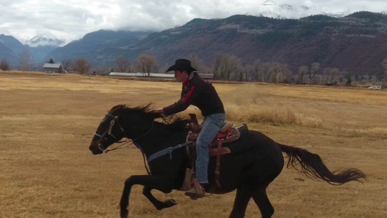 Horse Riding in Slow Motion