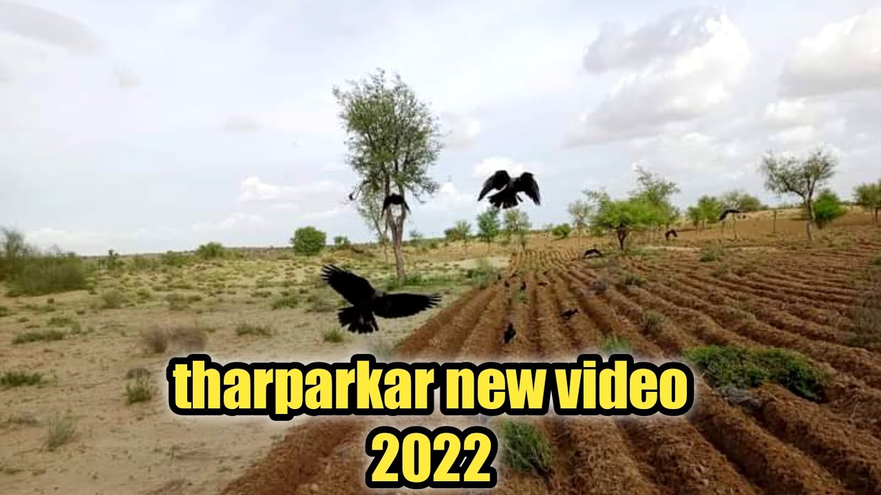 tharparkar new  video 2022 Angreji song ll Asif RAhimoon tharparkar Pakistan
