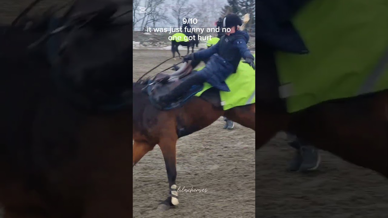 Rating my fails for ✨️fun✨️ #horse #equestrian #ponyedit #blowup #riding #ponylover #pony #1k