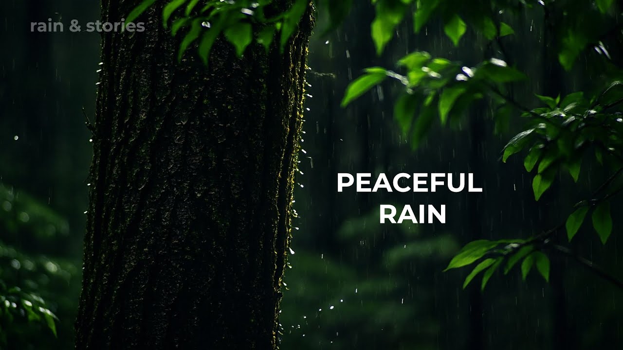 Deep Sleep Rain for Anxiety Relief | Calm Your Mind & Sleep Peacefully All Night