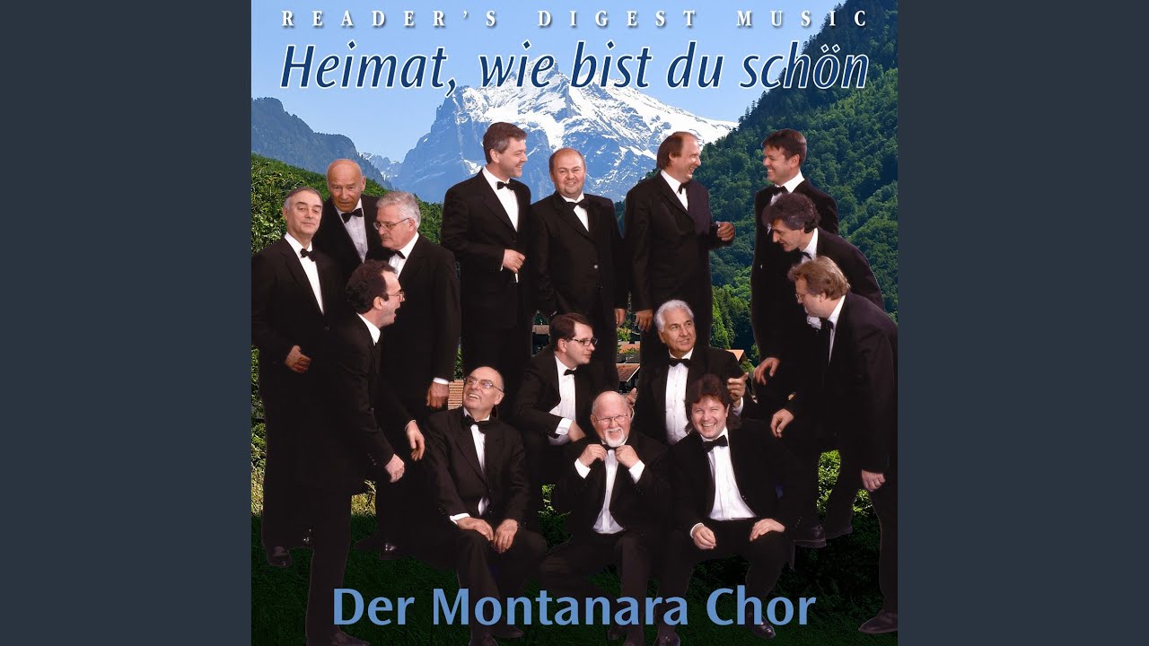 Mein schönes Innsbruck am grünen Inn