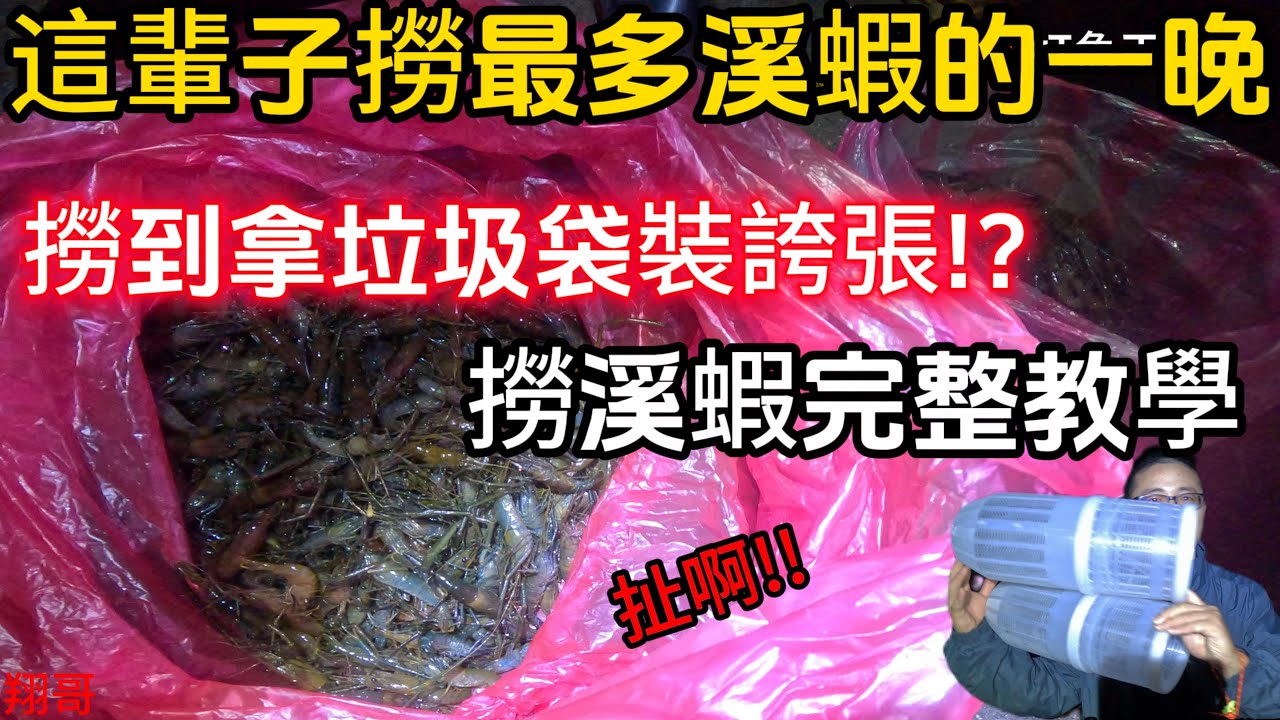 《新北市烏來撈溪蝦》最佳的撈溪蝦點 簡易上手 整晚撈太多 撈到不想撈 會累啊!!撈溪蝦教學工具介紹!#打魚 #抓海鲜 #料理 #釣魚 #自由潛水