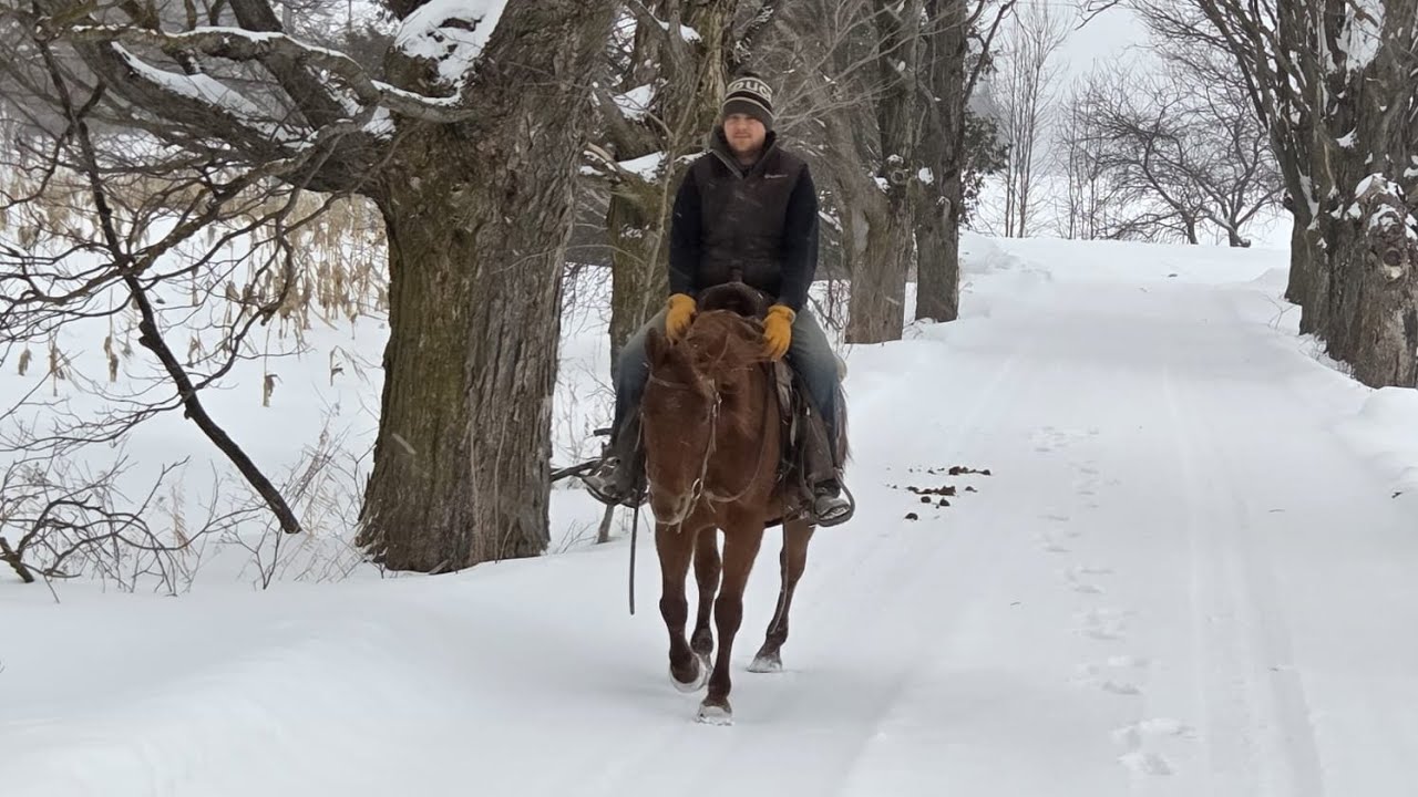 Twix, Versatile Trail Horse 