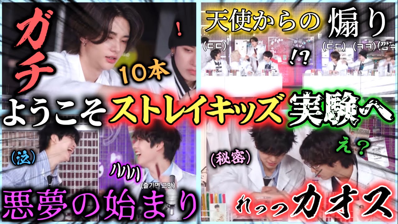 ようこそカオスなストレイキッズの実験へ。前編[SKZ CODE]