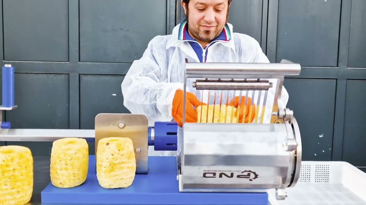 Manual pineapple cutter mod. MPC