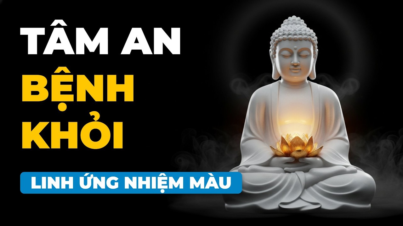 Nghe Trước Khi Ngủ – Lời Phật Dạy Giúp Tâm Bình An