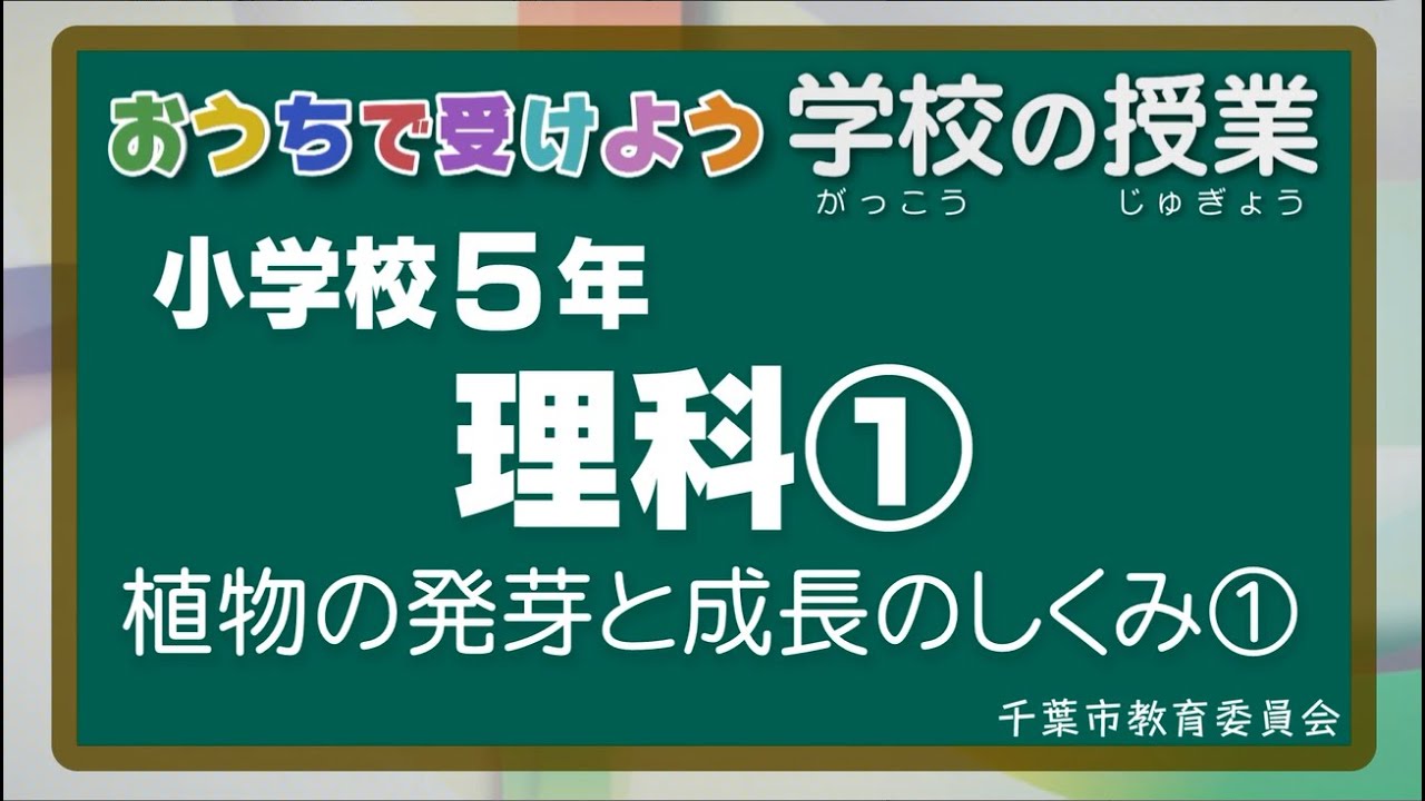 『チバテレの学習支援番組』小学５年生理科①（千葉市教育委員会）（2020.5.19放送）【チバテレ公式】