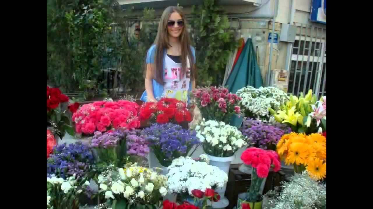 Cagla simsek 2014