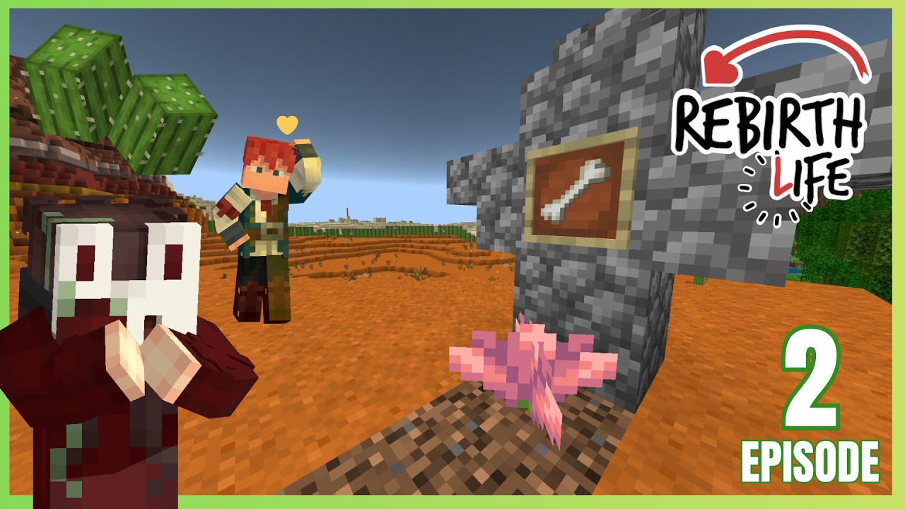 Defences up! | Rebirth Life s1 | Episode: 2