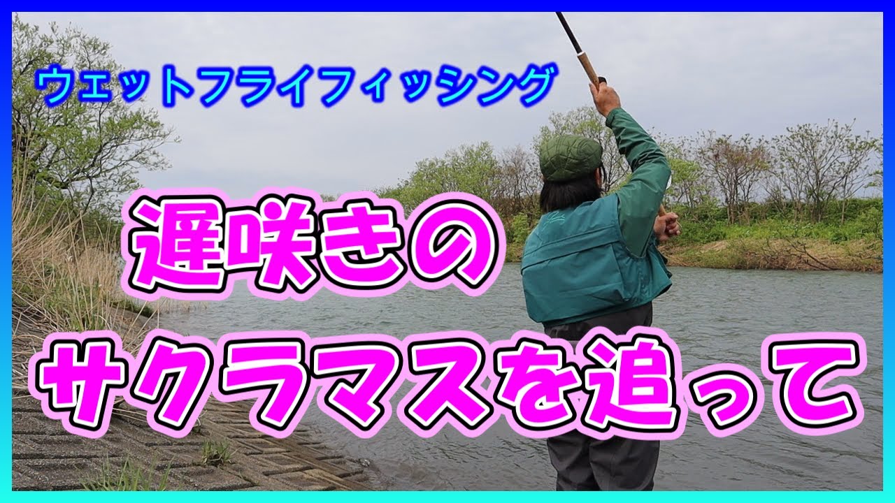 フライ編【ウェットフライフィッシング6】遅咲きのサクラマスを追って