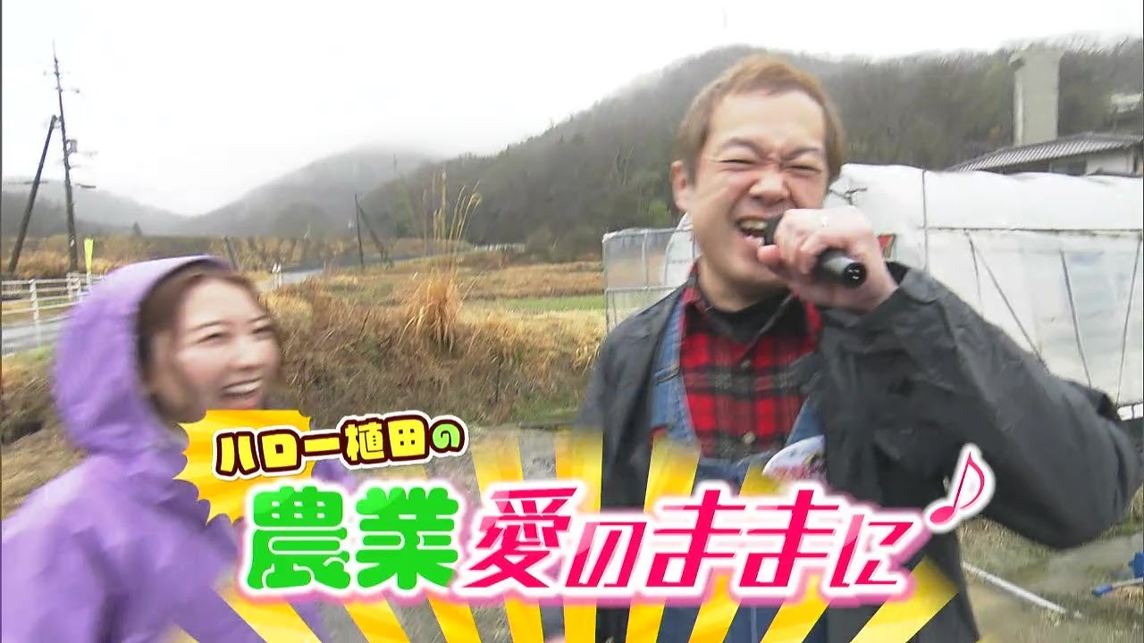 ハロー植田 ”エンダイブ”の出荷作業に挑戦！｜【笑味ちゃん天気予報】2026年3月10日放送