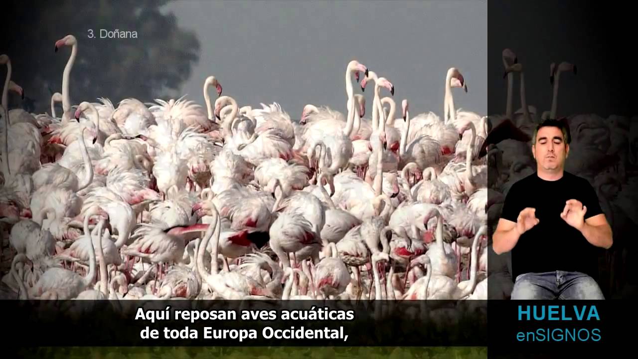 HUELVAenSIGNOS - 03. Doñana