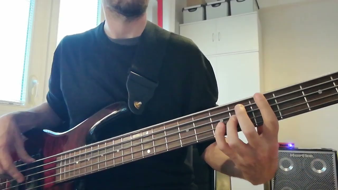 Un Briciolo Di Allegria (BLANCO & MINA) BASS COVER