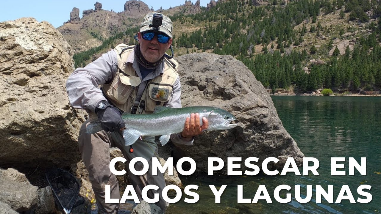Donde Encontrar TRUCHAS EN LAGOS y Como Pescar,🏆(Pesca en Lagos)🐟, PESCA CON MOSCA, lago, laguna