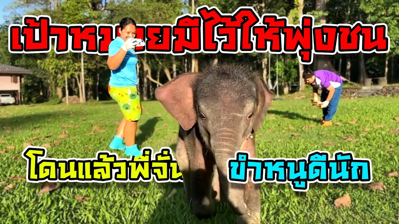 น้องตุลา : วีรกรรมที่แสบสันต์ล้วนๆจริงๆ หวงของฝาก อยากวิ่งเล่น เน้นแกล้งคน อลวนเล่นน้ำ ครบครัน