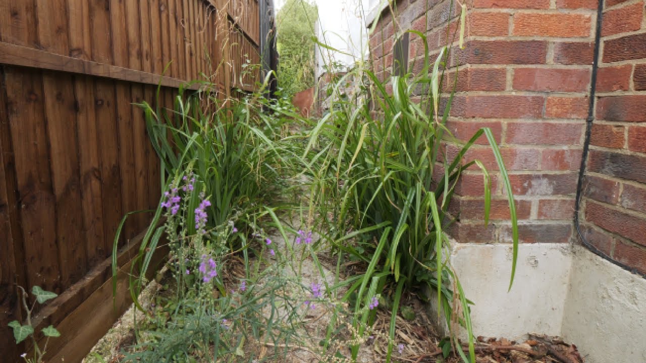 She Lost Her Husband… Then Her Dad. This Garden Meant Everything