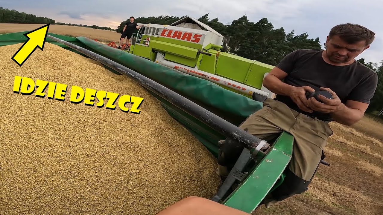 SZARPANE ŻNIWA🌾KOSIĆ CZY CZEKAĆ?🤔Agro Dniówka 
