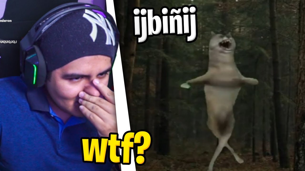 mis subs mandan memes cringe por discord 8 😨