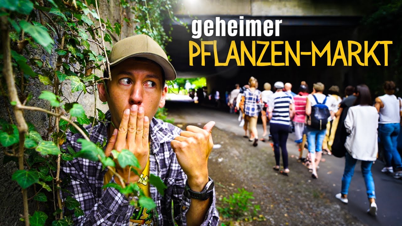 Seltene Pflanzen? 🤫 Komm mit auf den Pflanzenmarkt!